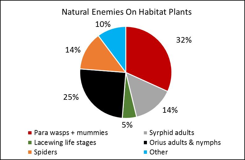 Habitats for High Tunnels Natural Enemies