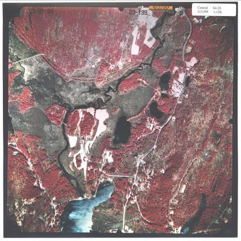Color Infrared Aerial Photograph Flown in early April leaves-off