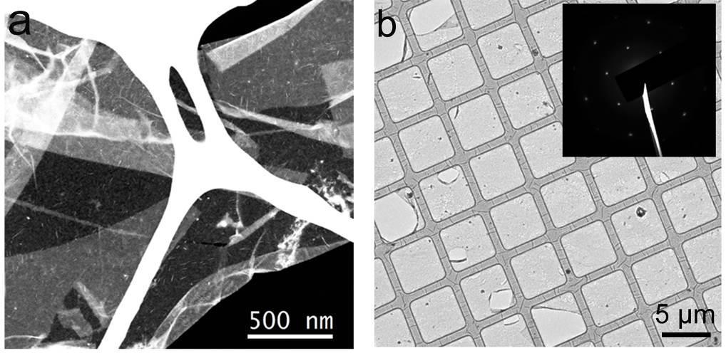 Supplementary Figure 1. Electron micrographs of graphene and converted h-bn. (a) Low magnification STEM-ADF images of the graphene sample before conversion.