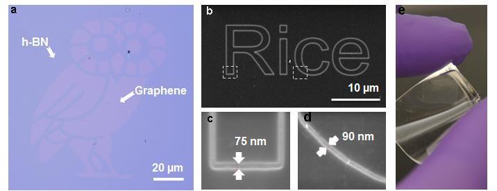 Supplementary Figure 8. Various graphene/h-bn in-plane heterostructure constructed by spatially controlled conversion. (a) Rice Owl demo of graphene/h-bn heterostructures.