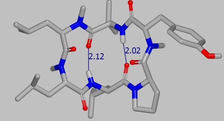 Incorporating NMR restraints: Lokey peptide