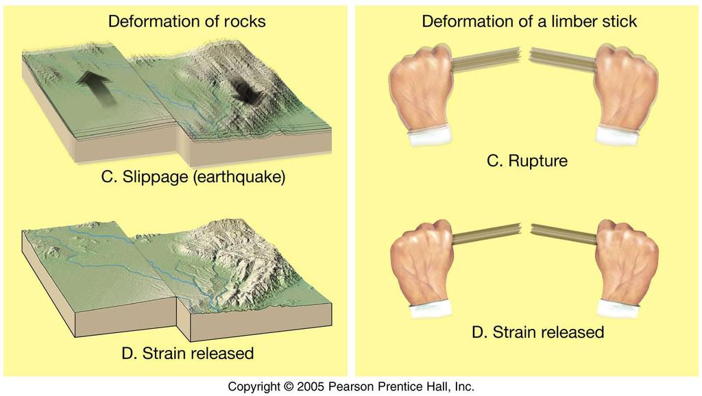 When the rocks reach their elastic limit, they break, and energy is released in the form of seismic waves, radiating out from