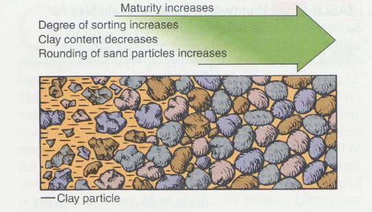 Sediments Reflect composition of rock from which derived Coarser sediments