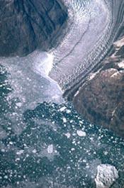 termination in circum polar oceans results in calving and iceberg