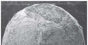 Cosmogenous Marine Sediments Macroscopic meteor debris Microscopic ironnickel and silicate spherules
