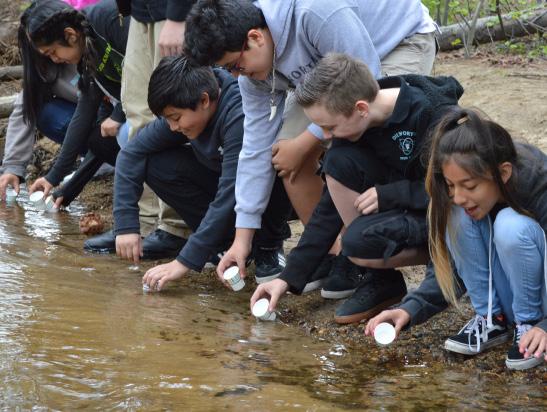 Our K-12 education programs include school field trips, Trout in the Classroom program, the Youth Science Institute afterschool program for high school students, and the annual Science Expo.