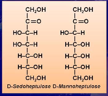 5. Heptoses (7C) Sedoheptulose has the same structure as fructose, but it has one extra carbon. Sedoheptulose is found in carrots. Mannoheptulose is a monosaccharide found in avocados.