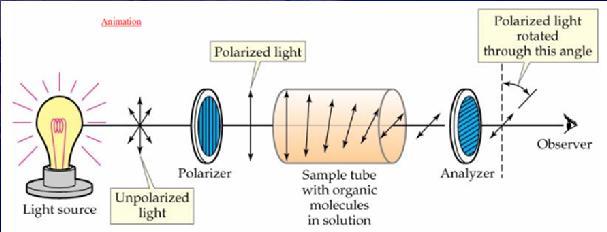polarimeter (Lippich type) Rotation is either (+) dextrorotatory or (-) levorotatory Polarimeter The D and L form of