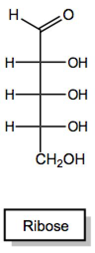 PRACTICE: Provide the generic name for the following monosaccharide.