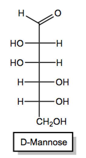 PRACTICE: Convert the following monosaccharide into its Fischer representation.