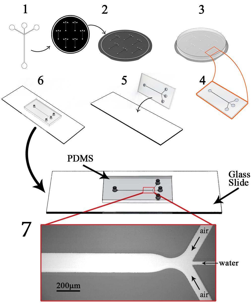 Figure 5. Schematic representation of the fabrication procedure for production and assembly of microfluidic devices. (1) Required channel geometry is designed and printed on transparency sheets.