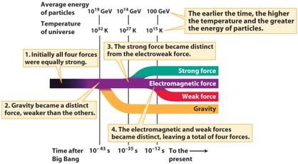 A supergrand unified theory would explain all four forces GUTs suggest that all four physical forces were equivalent