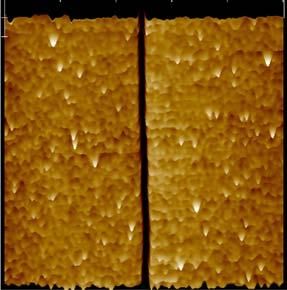 d, Atomic force microscopy (AFM) topography large scale image