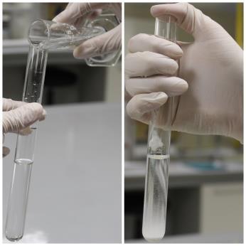 Shake the tubes gently and observe whether or not the substances dissolve. Some substances dissolve slowly, in this case set the test tube aside for few minutes and examine again.
