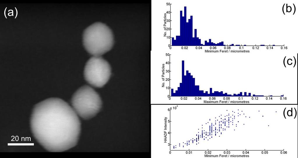 Figure 1: (a) HAADF-STEM image of obtained nanoparticles. (b) and (c) minimum and maximum Feret diameter distributions respectively and (d) the variation HAADF image intensity with Feret dimension.