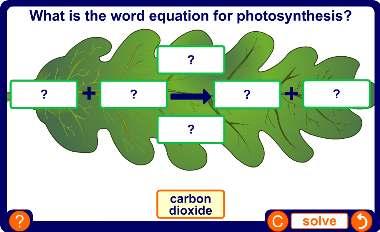 Photosynthesis: word equation