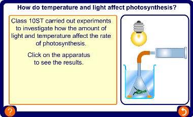 Investigation photosynthesis