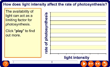 Light intensity and