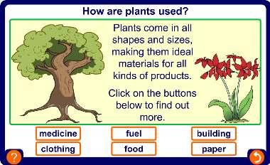 Using plants 4 of
