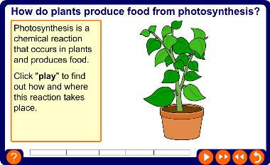Photosynthesis 9 of