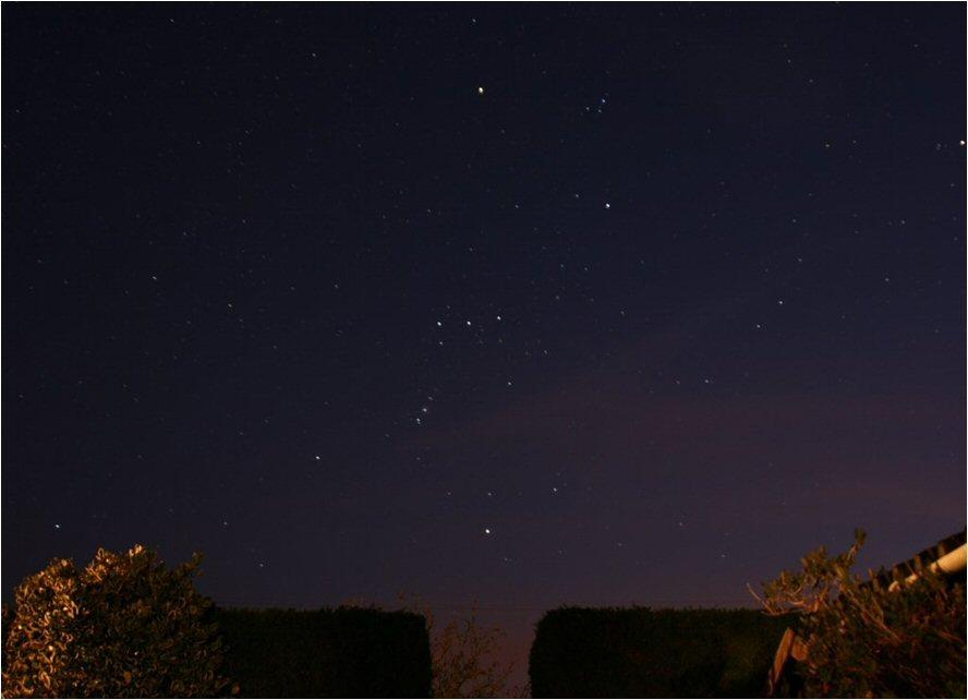 CONSTELLATION OF THE MONTH Orion (the Hunter) The constellation of Orion (the Hunter) photographed by Nicky Fleet Orion is one of the