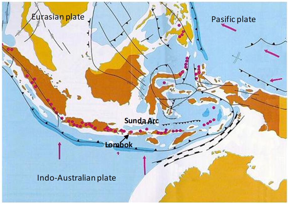 be approaching 1, but it varies depending on many processes [4], such as fault heterogeneity [5]. In another way, the b-value may be determined by utilizing probabilistic approaches [6]. Fig. 1. Tectonic pattern of Indonesia [1, 2].