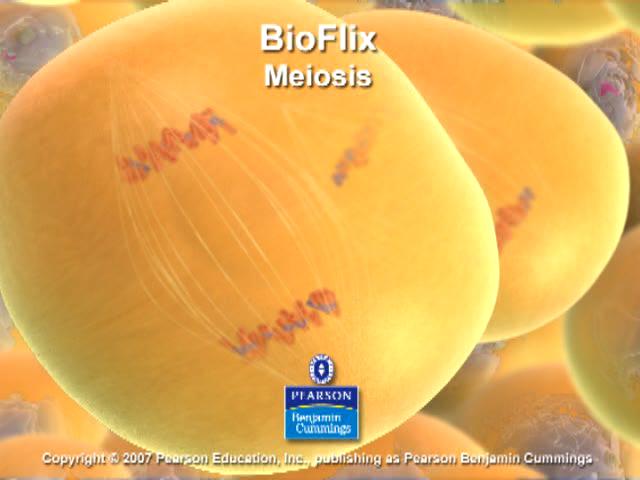 BioFlix: