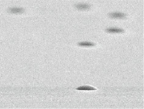 Therefore, the silica spheres were expected to be more rapidly embedded into the rubber film than the polymeric spheres, however a different result was obtained.