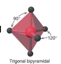 SN=5 trigonal bipyramidal SN=6