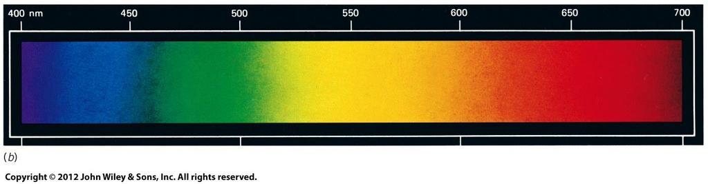 Electromagnetic Spectrum Visible light Band of