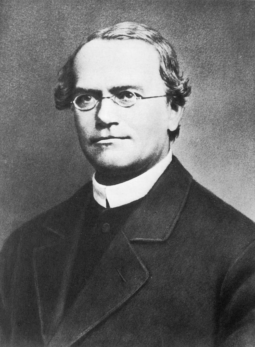 Gregor Mendel Wikipedia: Gregor Johann Mendel, 20 July 1822 6 January 1884) was a scientist, Augustinian friar and abbot of St. Thomas' Abbey in Brno, Margraviate of Moravia.