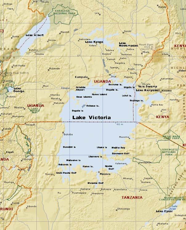 Nile perch introduced to Lake Victoria in 1950s > 400