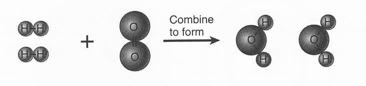 Figure 2.3 Question Which of the molecules shown here is a compound? Think About It: Circle the following formulas which represent compounds.