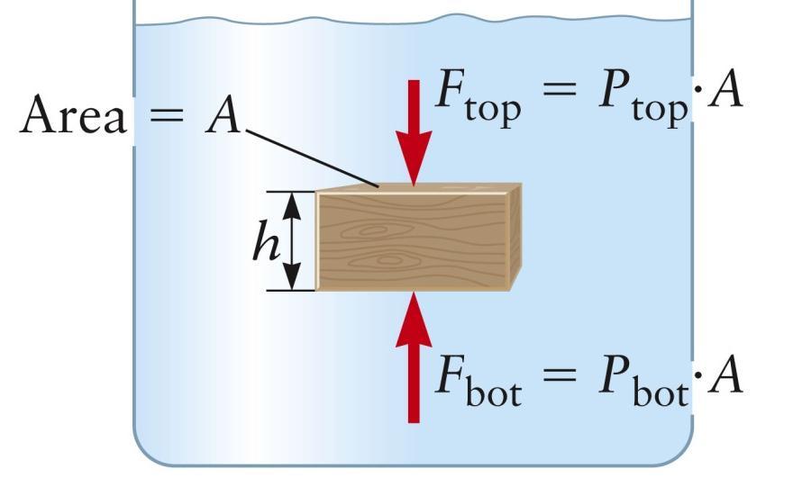 Lecture 3/33 Phys 0 Determine force of fluid on immersed cube Draw FBD» F B = F bot F top = P bot A P top