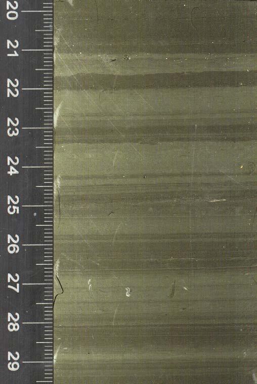 Sedimentary Features in Expedition 341 Cores: A Guide to Visual Core Description 1.