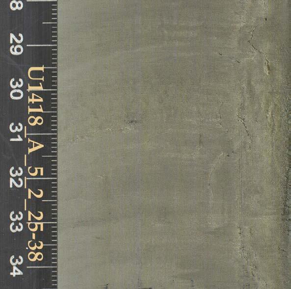 of typical deep water sediments in the Gulf of Alaska.