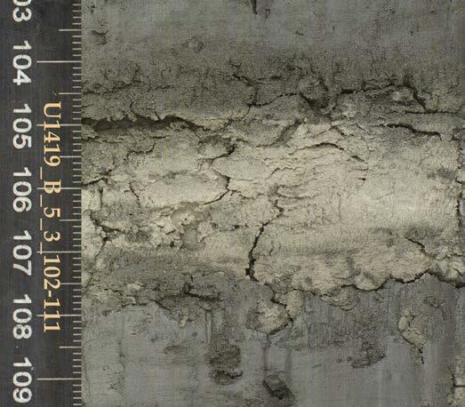 of sediment of a different color and texture within the core, varying in color to light gray to