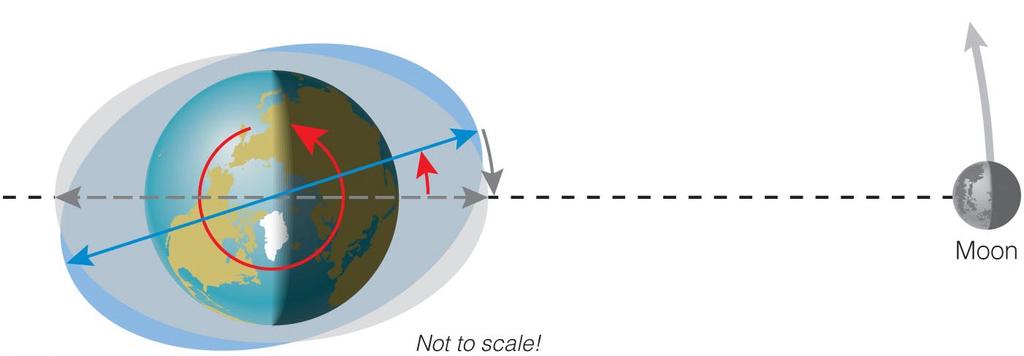 Tidal Friction Tidal friction gradually slows Earth rotation (and makes Moon get farther from Earth). Moon once orbited faster (or slower); tidal friction caused it to lock in synchronous rotation.