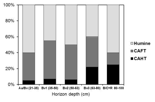 The physical and biochemical peculiarities of representative soils in Giurgeu Mountains 269 Figure 3. Humic fractions in Cambic Andosol related to TOC (1197 m alt.) Figure 4.