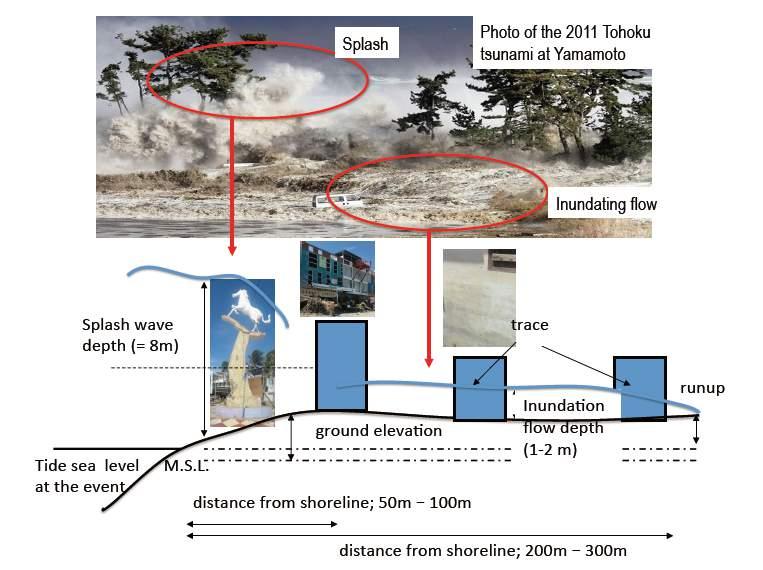 Figure 2 Cross section of the tsunami and topography at the Palu with splash wave/inundation flow depth (Muhari et al, 2018 JDR submitted) 3.