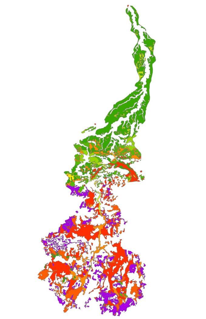 Primary GIS data layers continued Soil Water Regime Rank Layer A ranking of soil map units based on characteristics contained in each MU description.