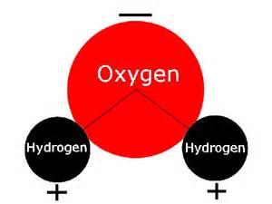The water molecule formed by covalent bonds.
