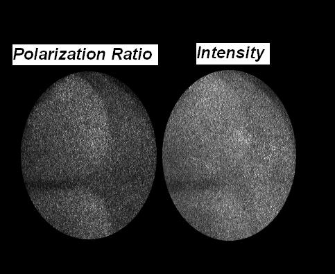 Figure 2.8: The same scene under Polarization Di erence Imaging and Intensity. The object is an absorbant target. di usive object obscured by a random scattering medium was studied.