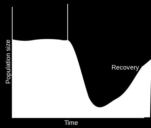 Bottleneck Effect The survivors of a catastrophic decrease in a