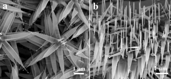 2 Figure 1. (a, b) SEM images of aligned nanopropellers. (c-f) Mechanistic steps of the vapor-liquid-solid growth process of the ZnO nanopropellers. 2.1. Aligned nanopropellers We used a mixture of ZnO and SnO 2 powders in a weight ratio of 1:1 as the source material to grow complex ZnO nanostructures [8,9].