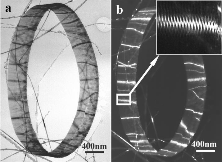 5 width of ~15 nm and thickness ~10 nm. The nanobelt has polar charges on its top and bottom surfaces (Fig. 5a).