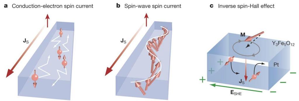 Spin-wave spin currents Transfer of spin angular momentum is mediated not only electrons (conduction-spin current), but also magnons (spin-wave spin current).
