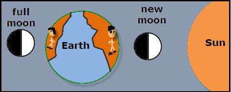 New moon = the side of the Moon facing Earth is not reflecting any sunlight The Moon is closest to the Sun.