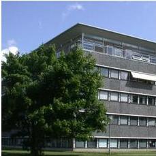Lauritzen Department of Mathematical