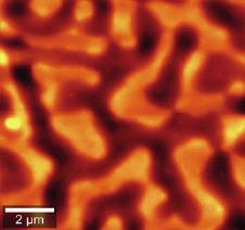Correlative High-Resolution Raman-AFM-SNOM Imaging of a Three-Polymer Mixture A three-component polymer blend was studied by using a combination of Atomic Force Microscopy (AFM), Scanning Nearfield